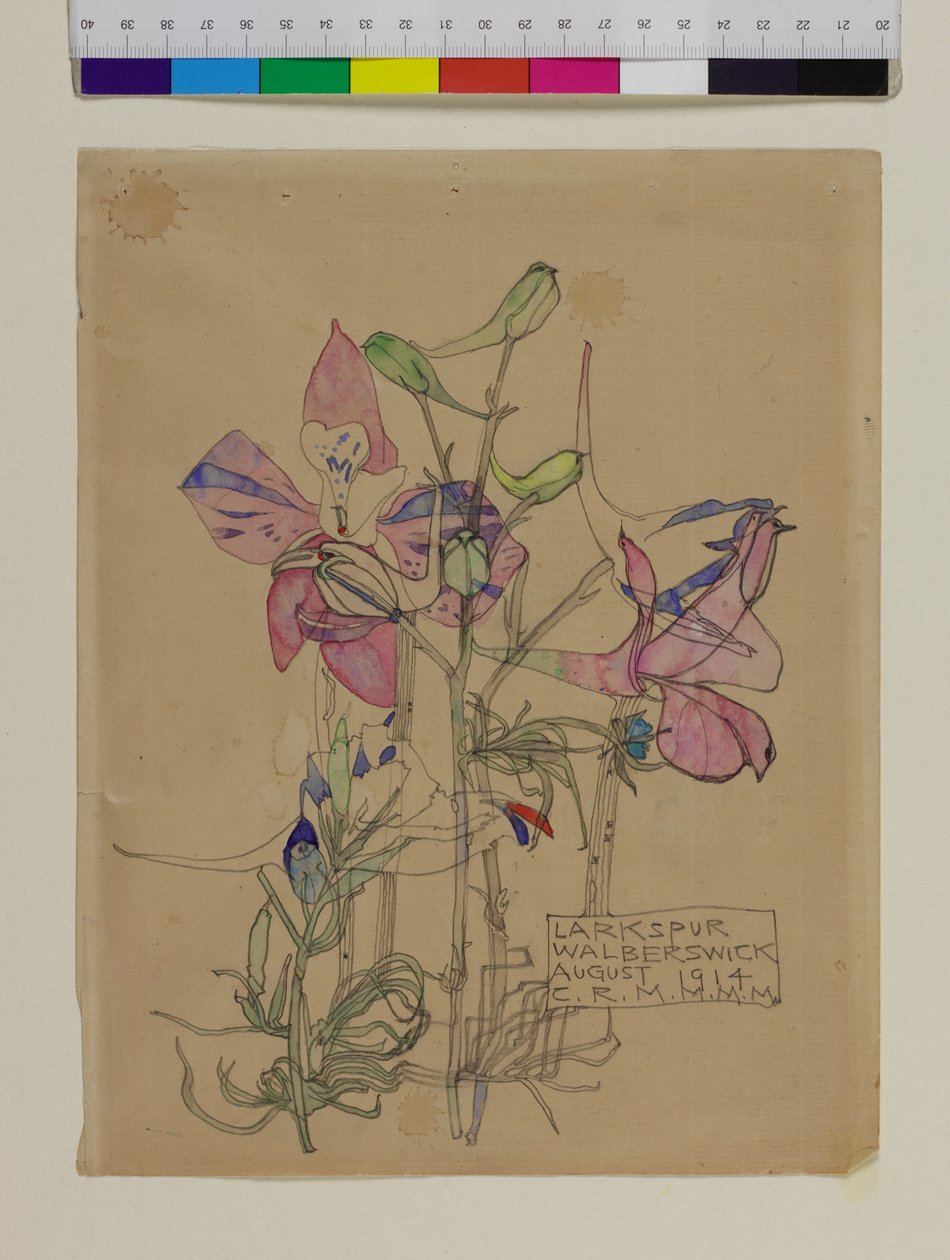 Speronella, 1914 da Charles Rennie Mackintosh