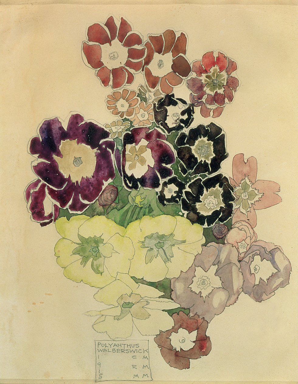 Poliantus, Walberswick, 1915 da Charles Rennie Mackintosh