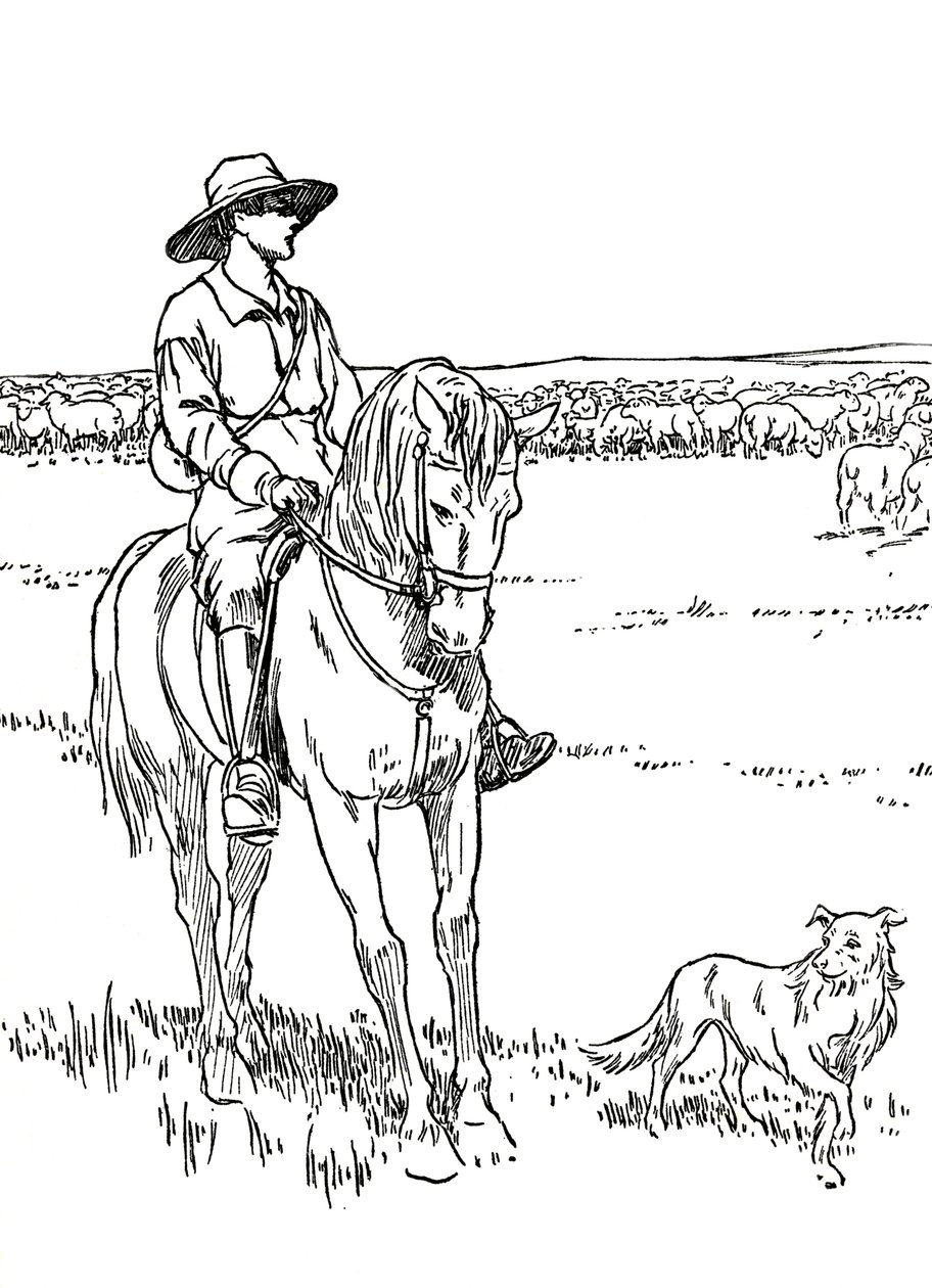 Una Stazione di Pecore in Australia, 1912 da Charles Robinson