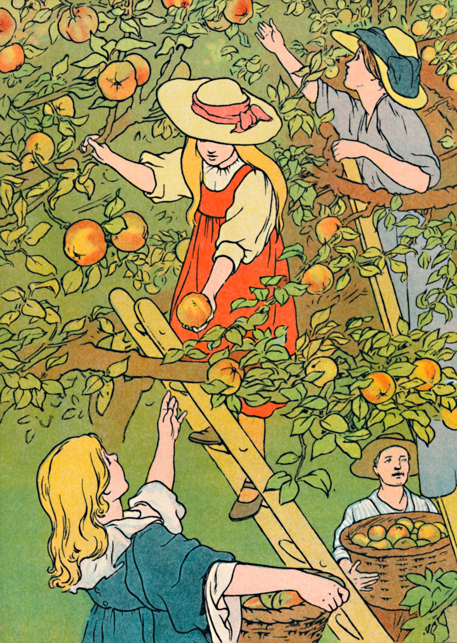 Raccolta della Frutta da Charles Robinson