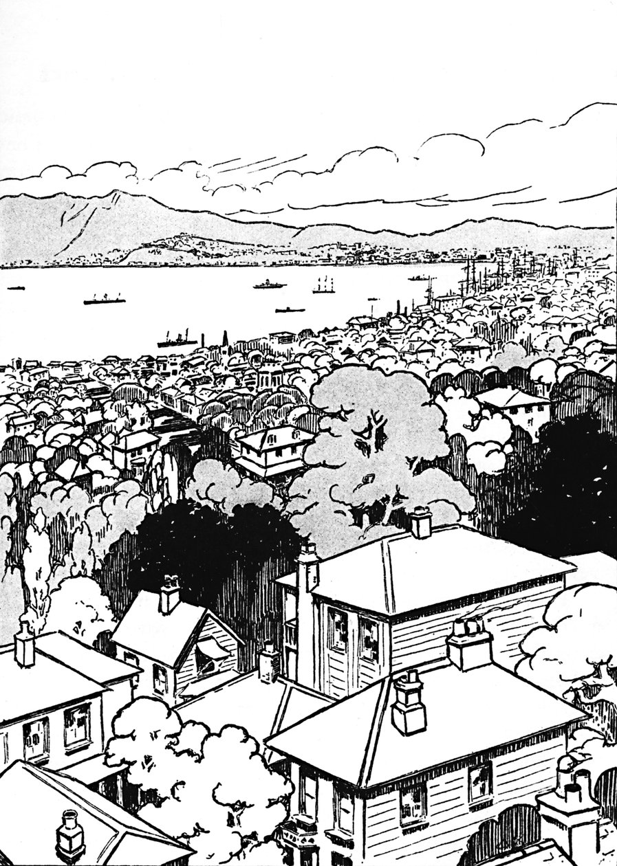 Wellington, 1912 da Charles Robinson