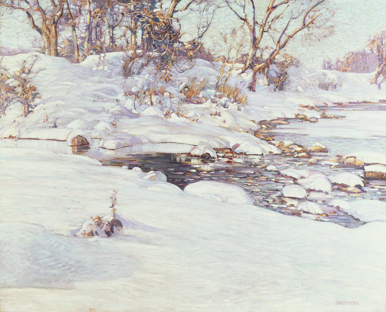 Luce solare invernale da Charles Rosen