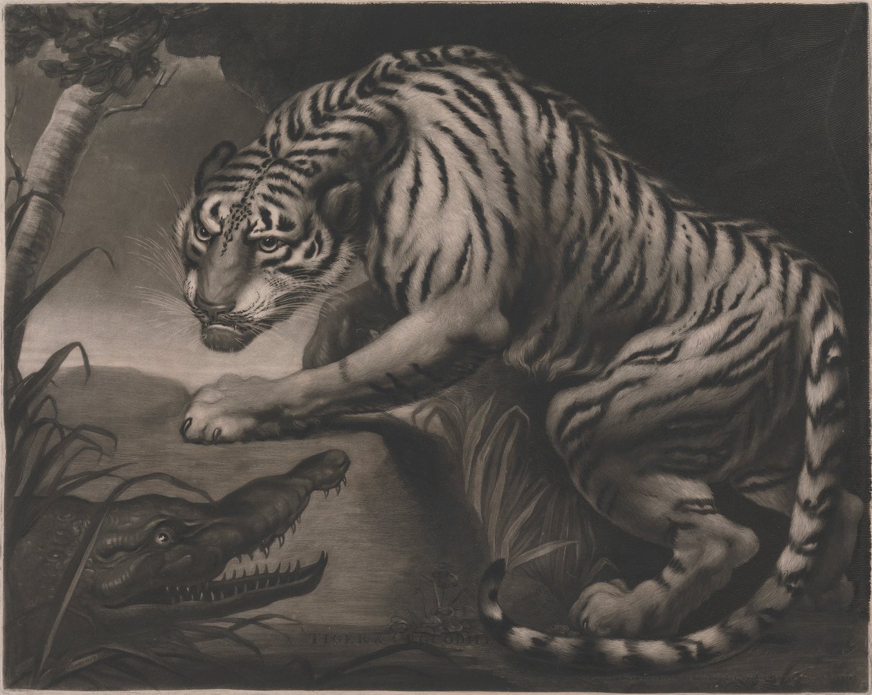 Tigre e Coccodrillo da Charles Turner