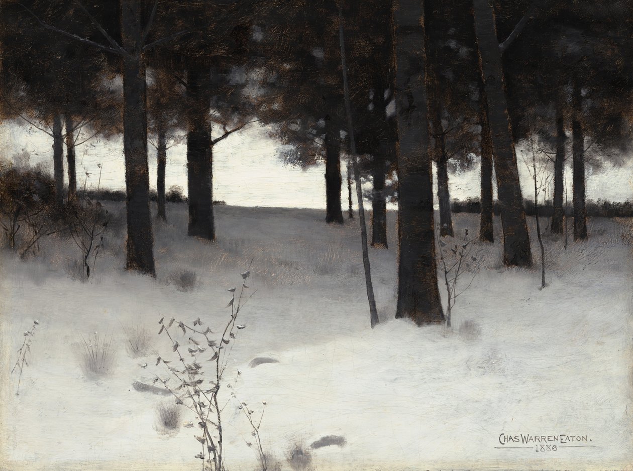 Boschi in inverno da Charles Warren Eaton