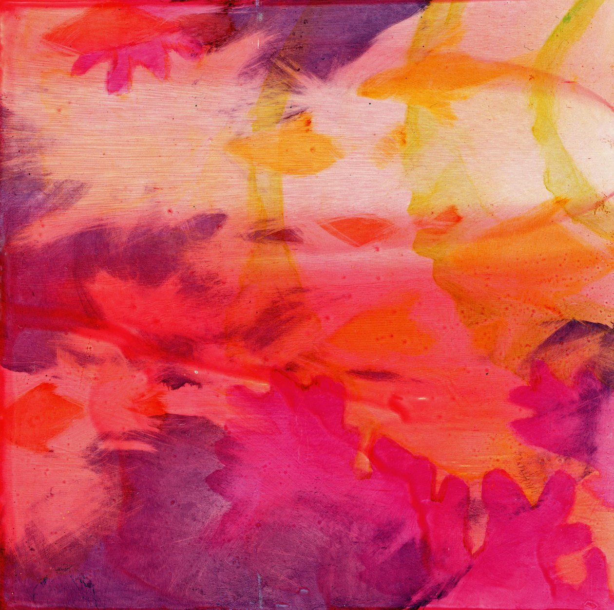 Pesce Vacos, 2000 da Charlotte Johnstone