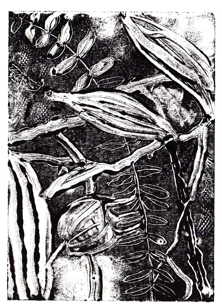 Piante Inchiostrate, 2019 da Charlotte Orr