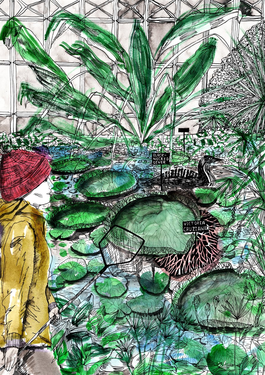 Giardino Botanico di Oxford, 2020 da Charlotte Orr
