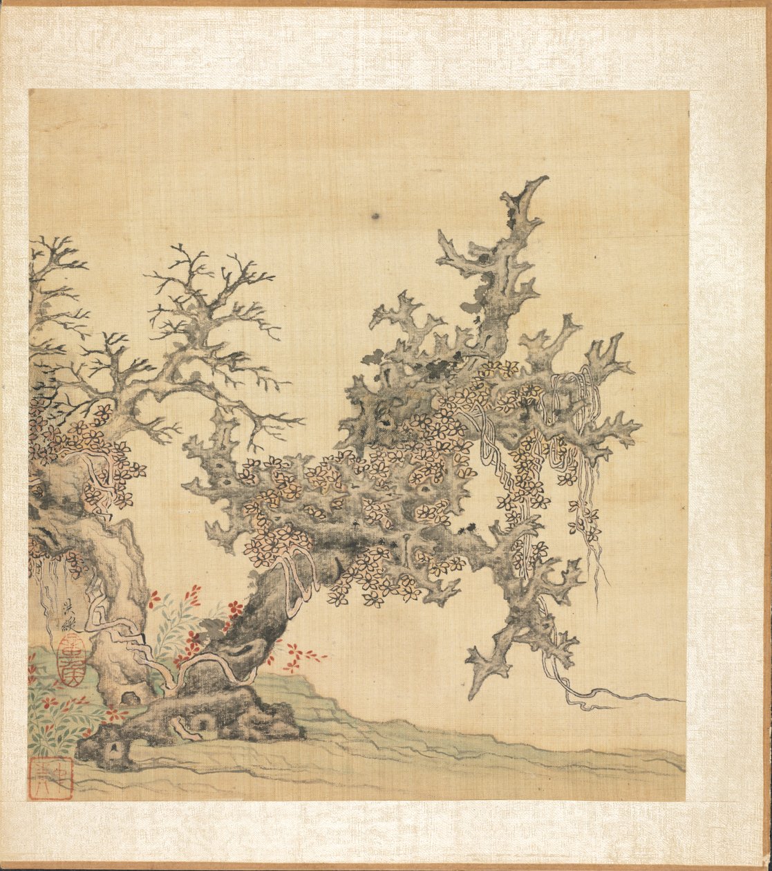 Dipinti dopo antichi maestri: Un albero antico da Chen Hongshou
