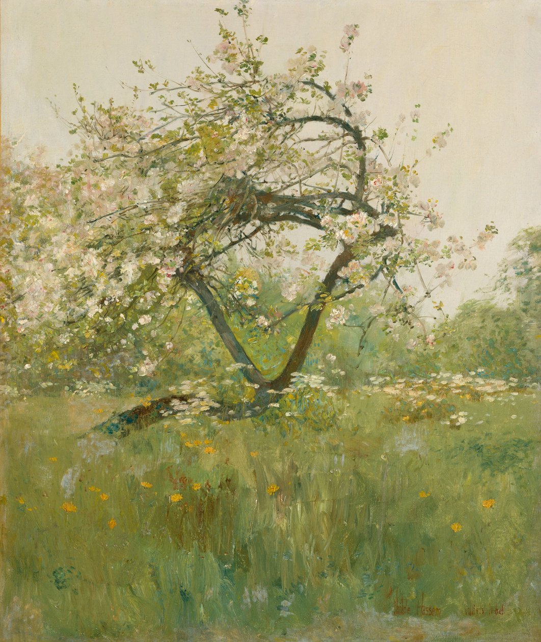 Fiori di pesco, Villiers-le-Bel da Childe Frederick Hassam