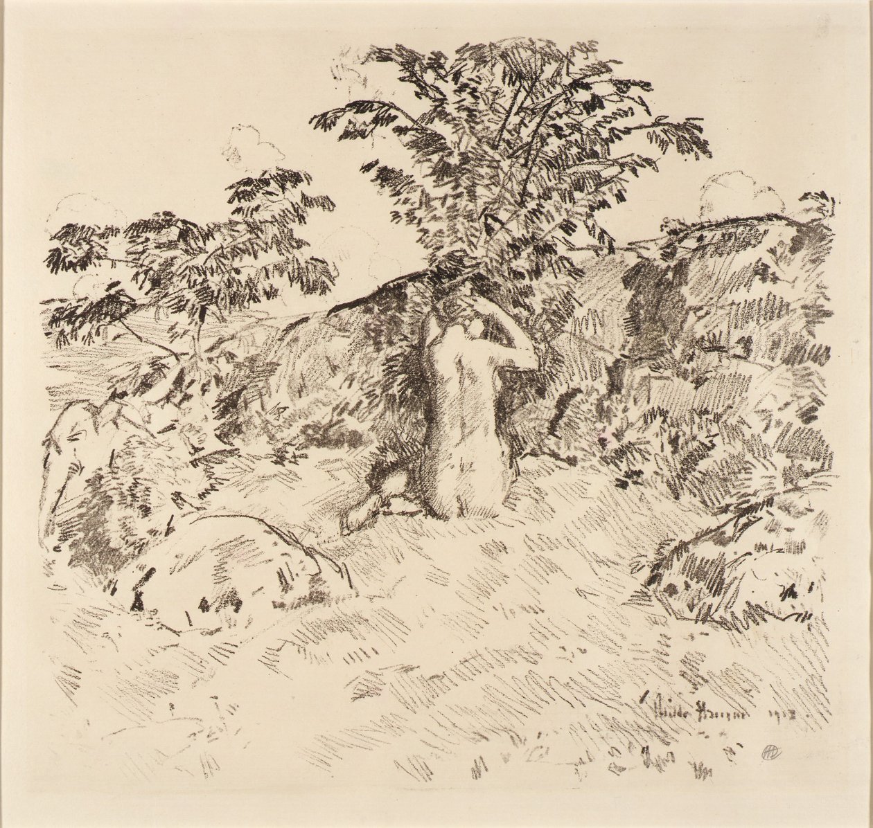 Ciliegio selvatico da Childe Hassam