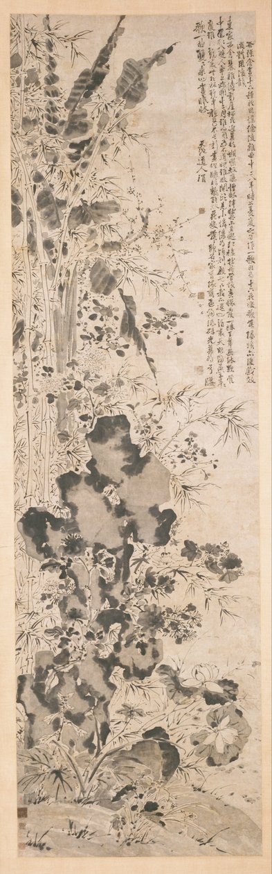 Sedici fiori da Chinese Xu Wei