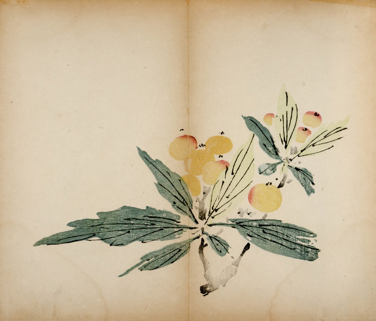 Stampe dello Studio dei Dieci Bambù, 1643 da Chinese School
