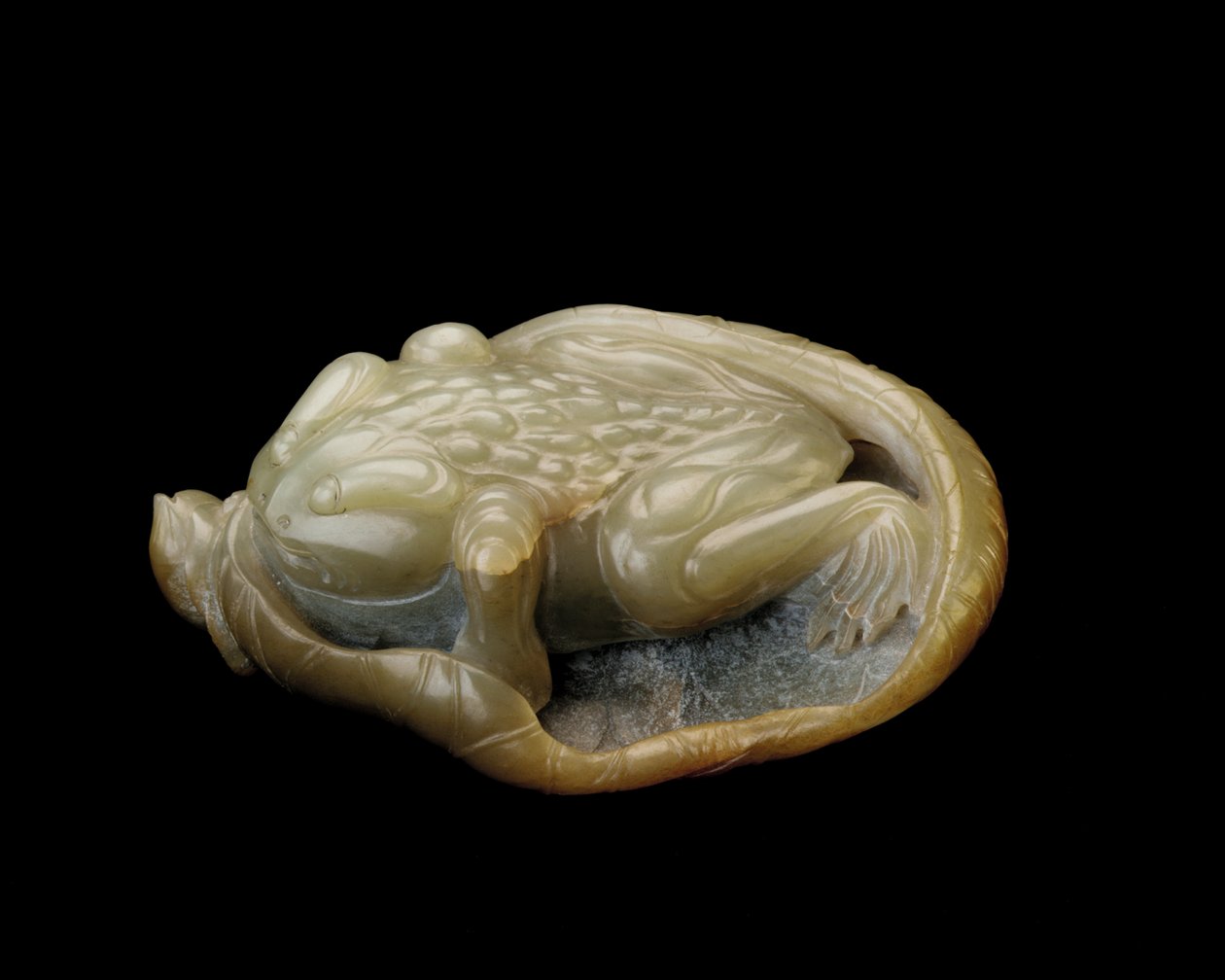 Rospo su una foglia di loto, 1500-1700 da Chinese School