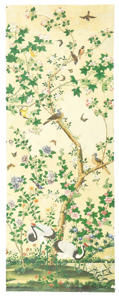 Immagine sconosciuta da Chinese School