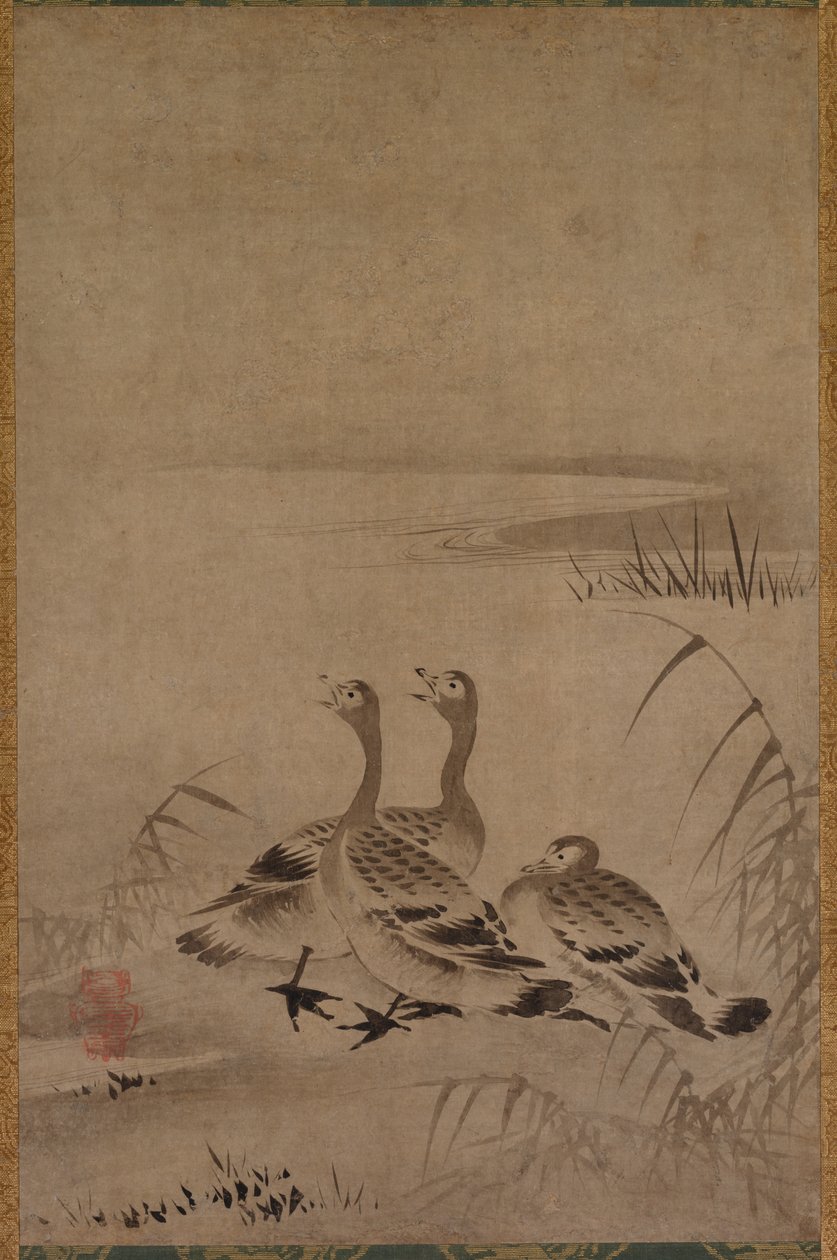 Oche Selvatiche da Chōkichi