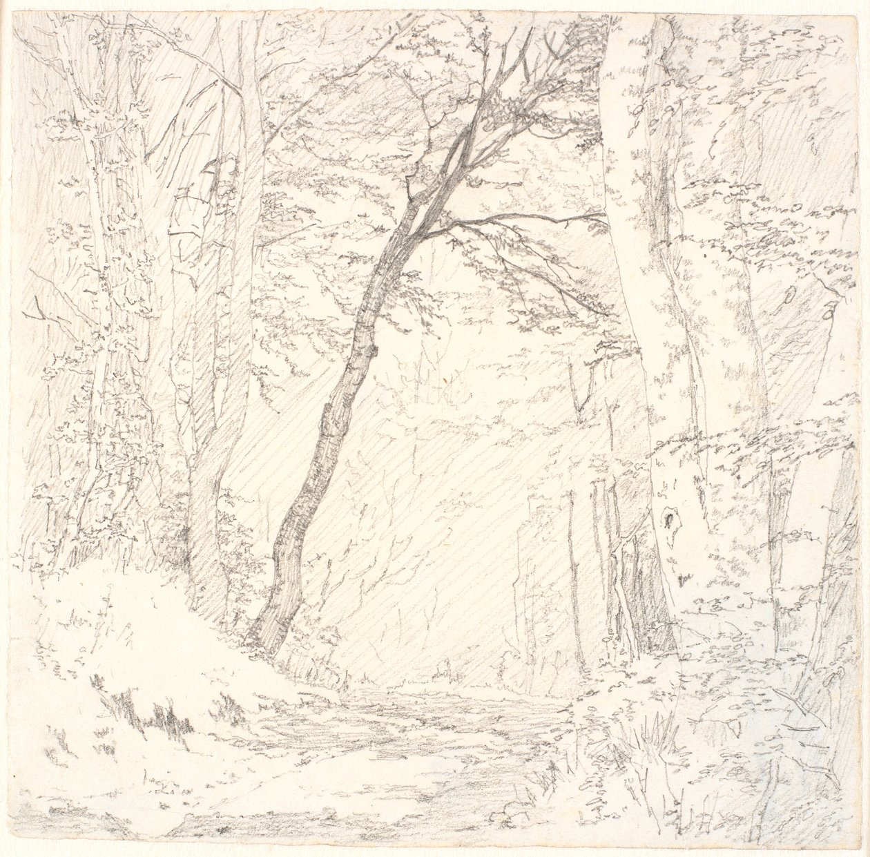 Strada attraverso una foresta da Christen Købke