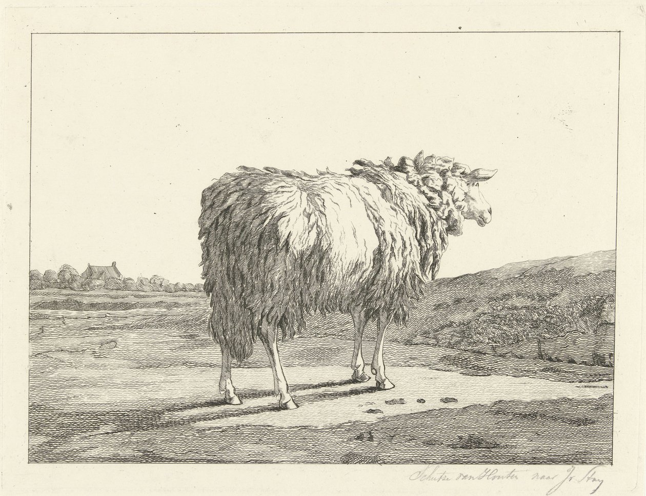 Pecora in un paesaggio da Christiaan Godfried Schutze van Houten