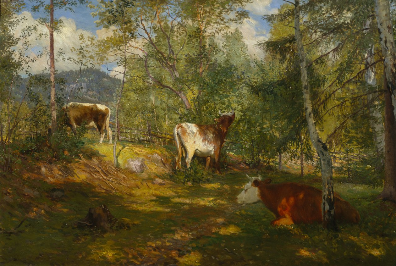 Macchie di sole nella foresta da Christian Eriksen Skredsvig