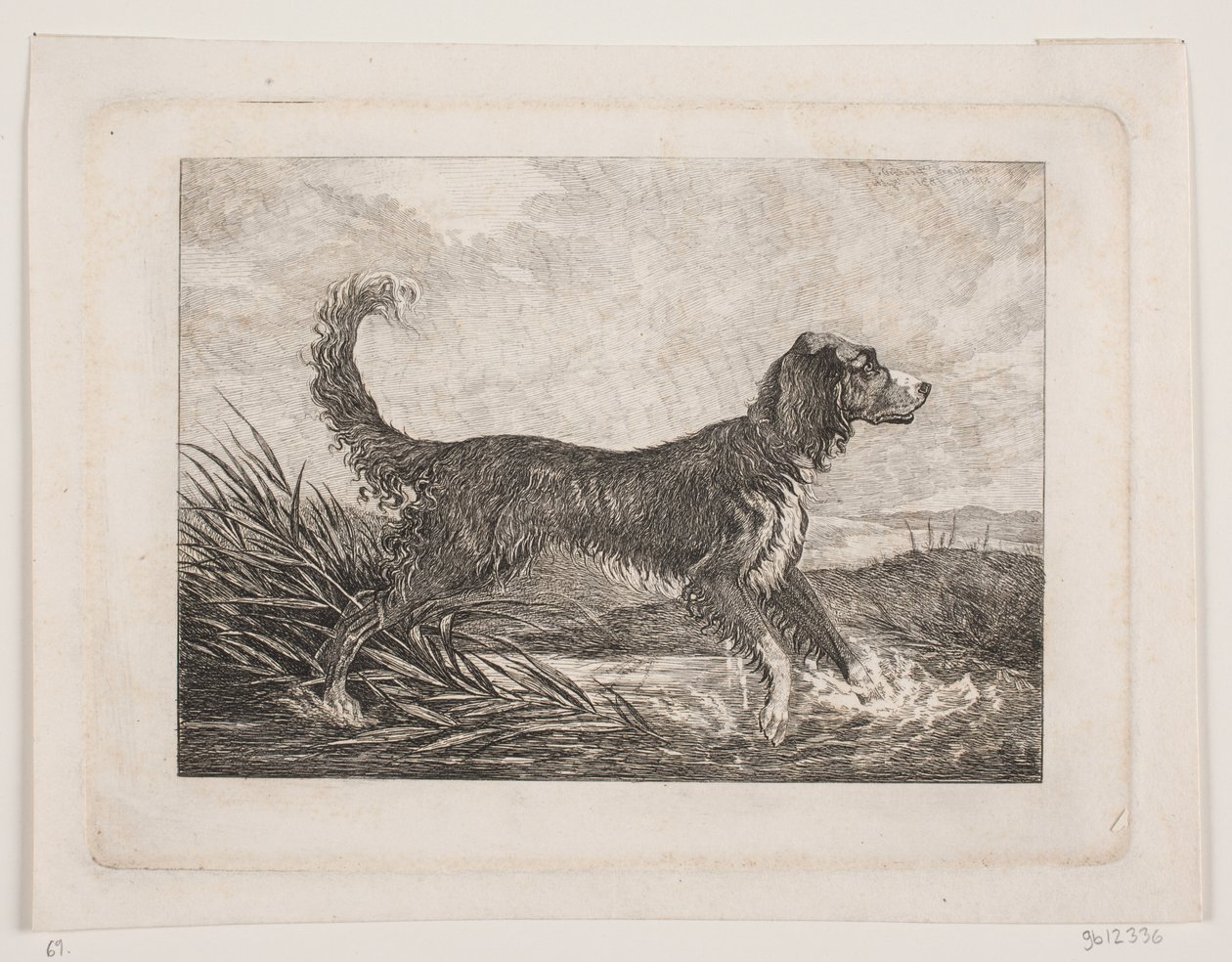 Un cane da Christian Holm