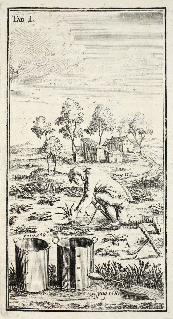 Giardiniere che raccoglie, pub. Erfurt in Turingia da Christian Reicharts