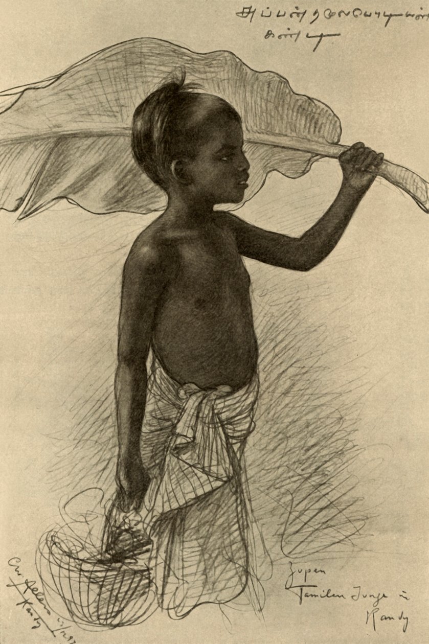 Ragazzo Tamil, Kandy, Ceylon, 1898 da Christian Wilhelm Allers