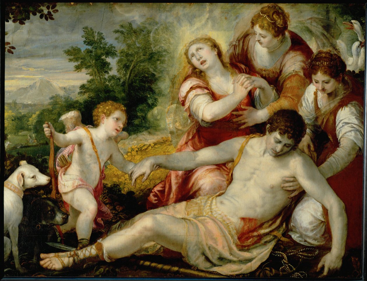 Morte di Adone ... (olio su tela) da Christoph Schwartz
