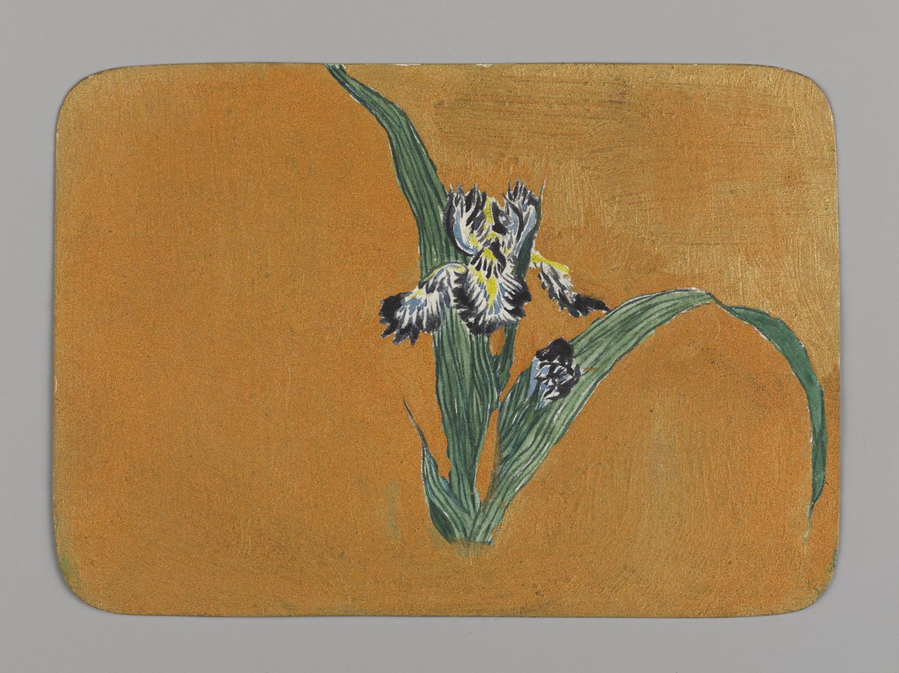Iris da Christopher Grant La Farge