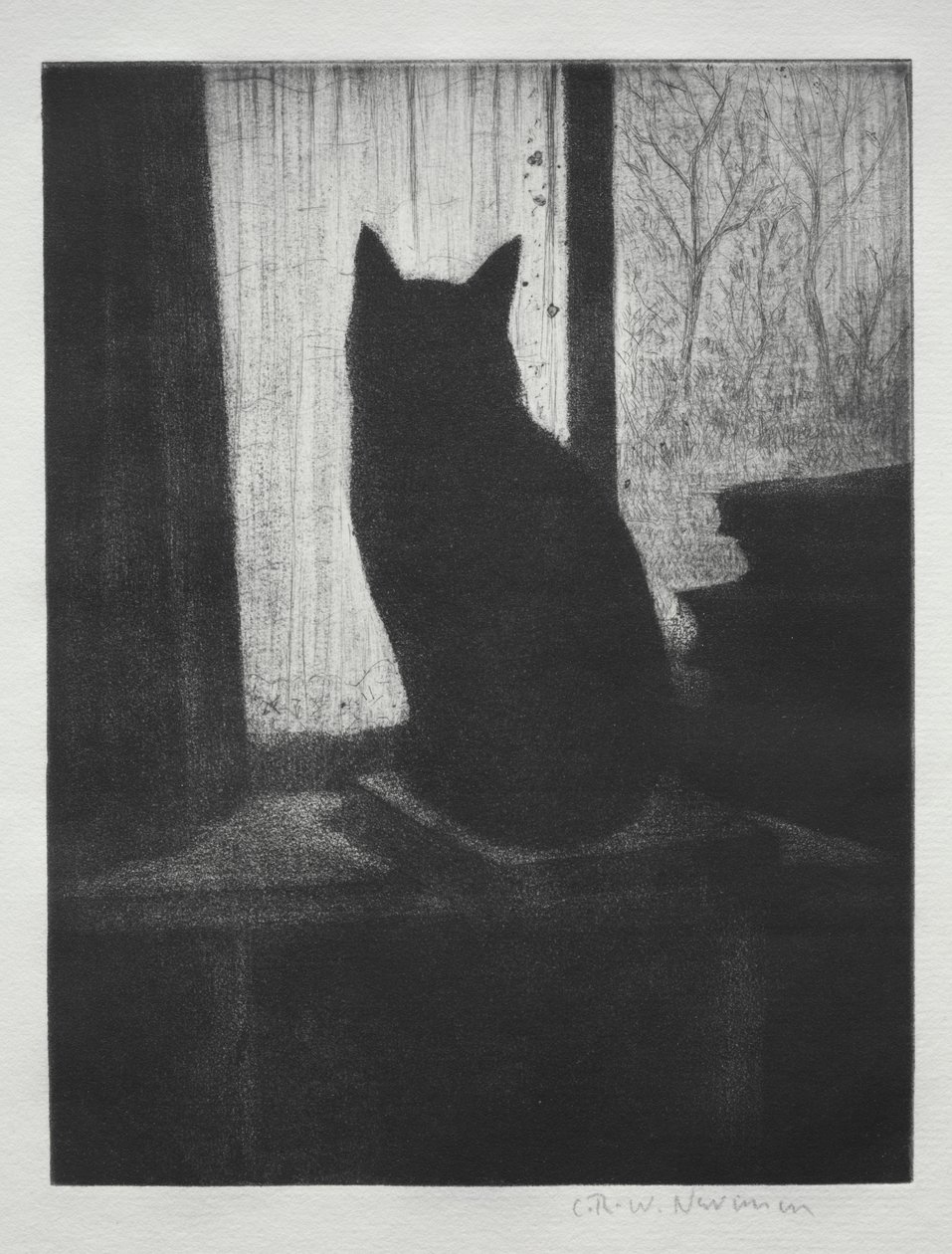 Il Gatto da Christopher Richard Wynne Nevinson