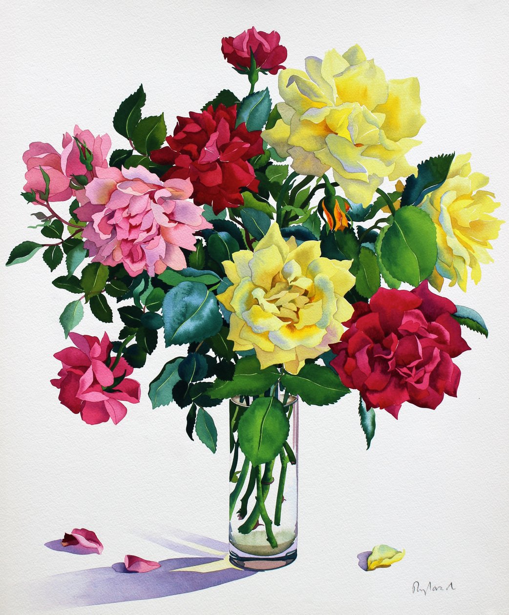 Rose di giugno da Christopher Ryland
