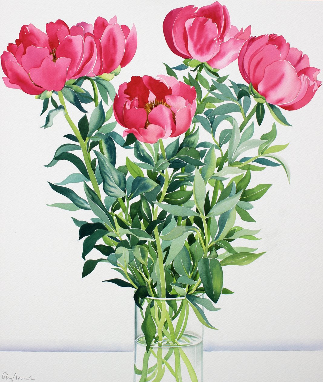 Peonie da Christopher Ryland