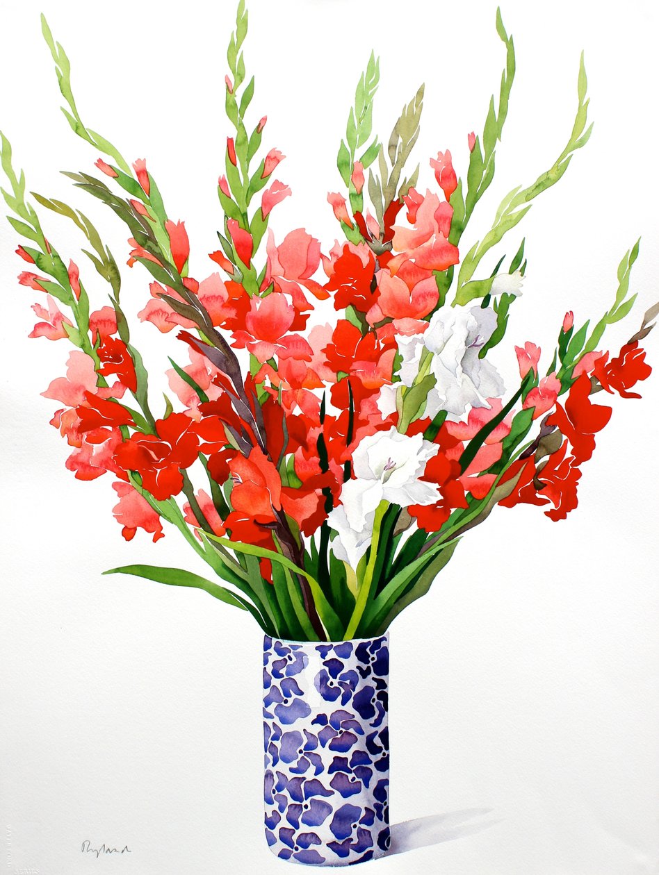 Gladioli rossi e bianchi da Christopher Ryland