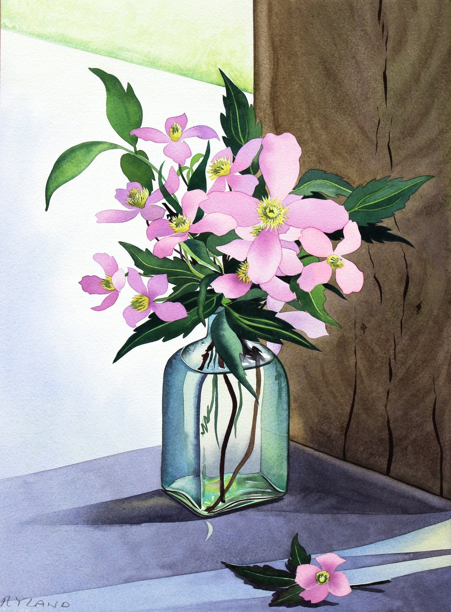 Natura morta con clematide rosa da Christopher Ryland