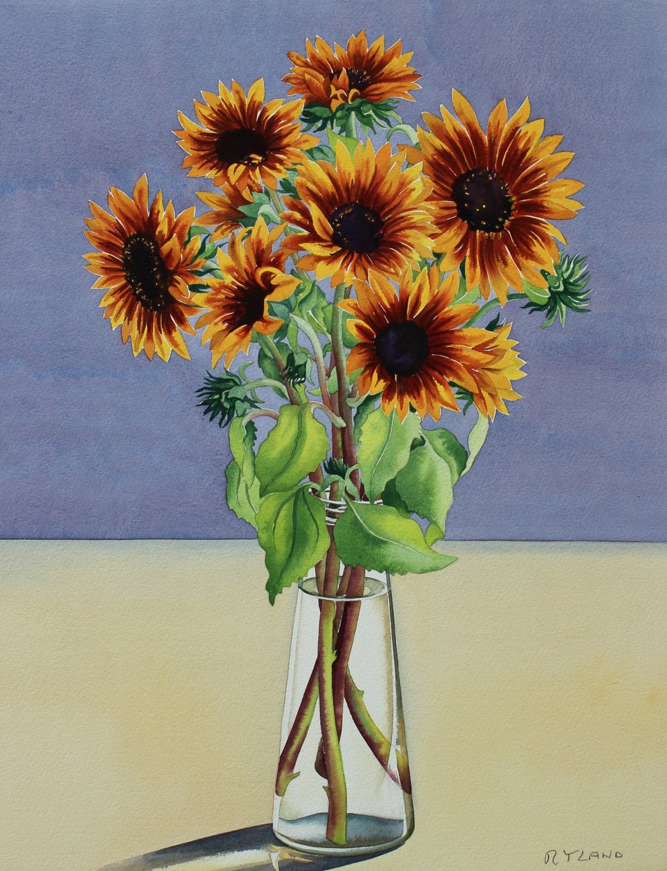 Girasoli da Christopher Ryland