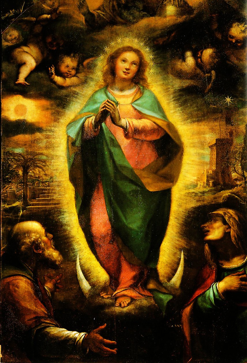 Immacolata concezione, cigoli da Cigoli