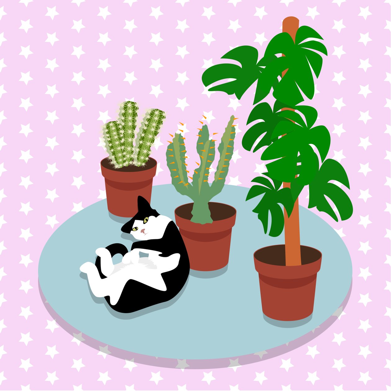 Il Gatto e i Cactus da Claire Huntley
