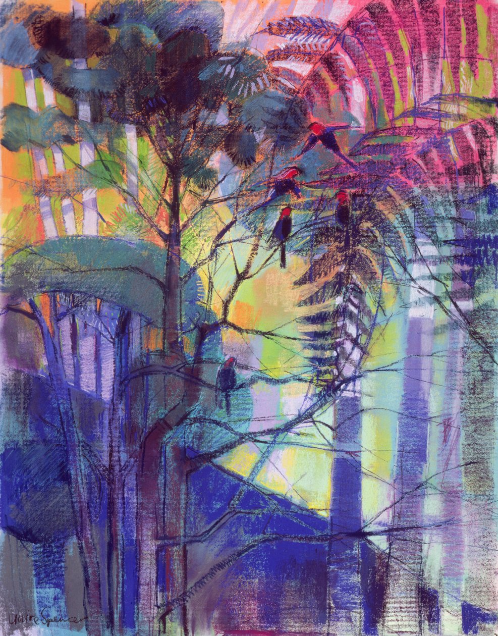 Nelle Blue Mountains da Claire Spencer