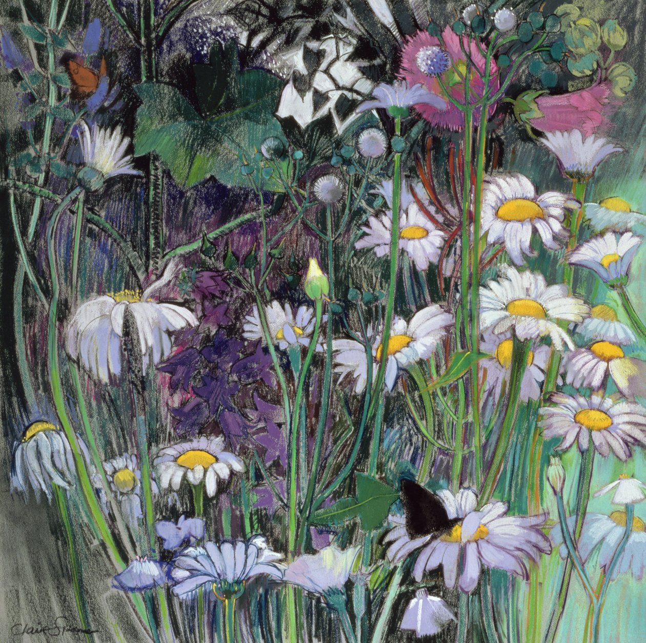 Il giardino bianco da Claire Spencer