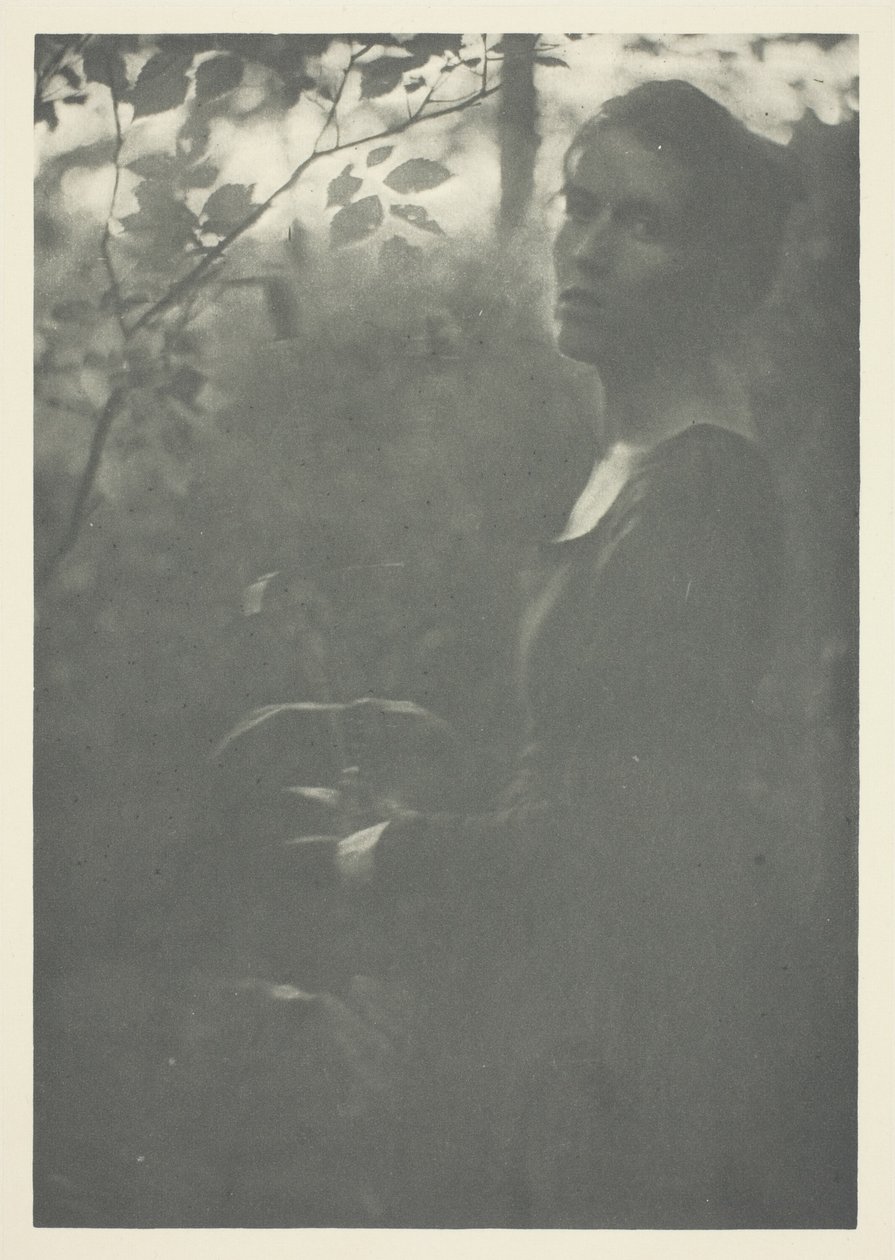 Margine del Bosco da Clarence H. White