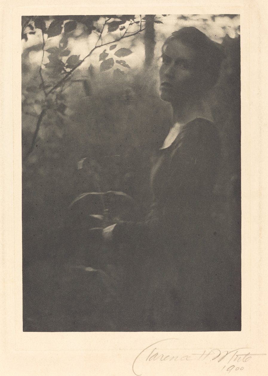 Bordo del bosco, sera da Clarence H. White