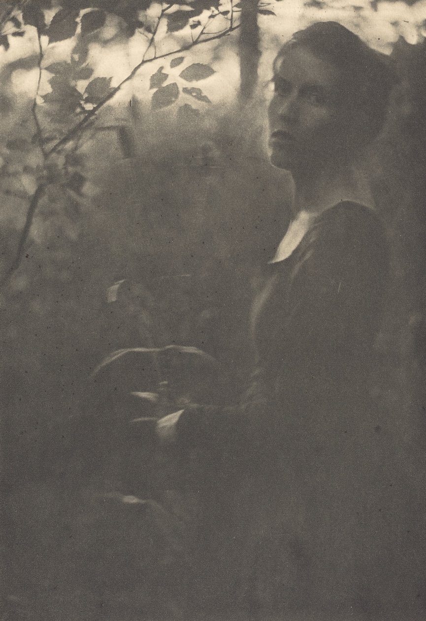 Bordo del bosco, sera, 1900 da Clarence H White