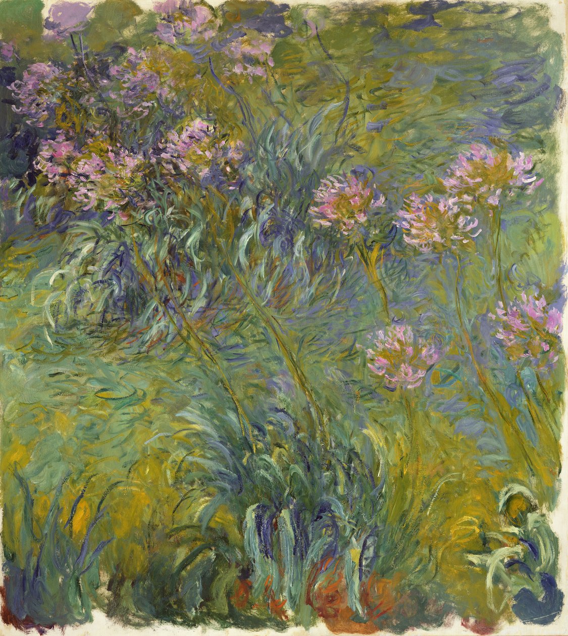 Agapanthus, 1914-26 da Claude Monet