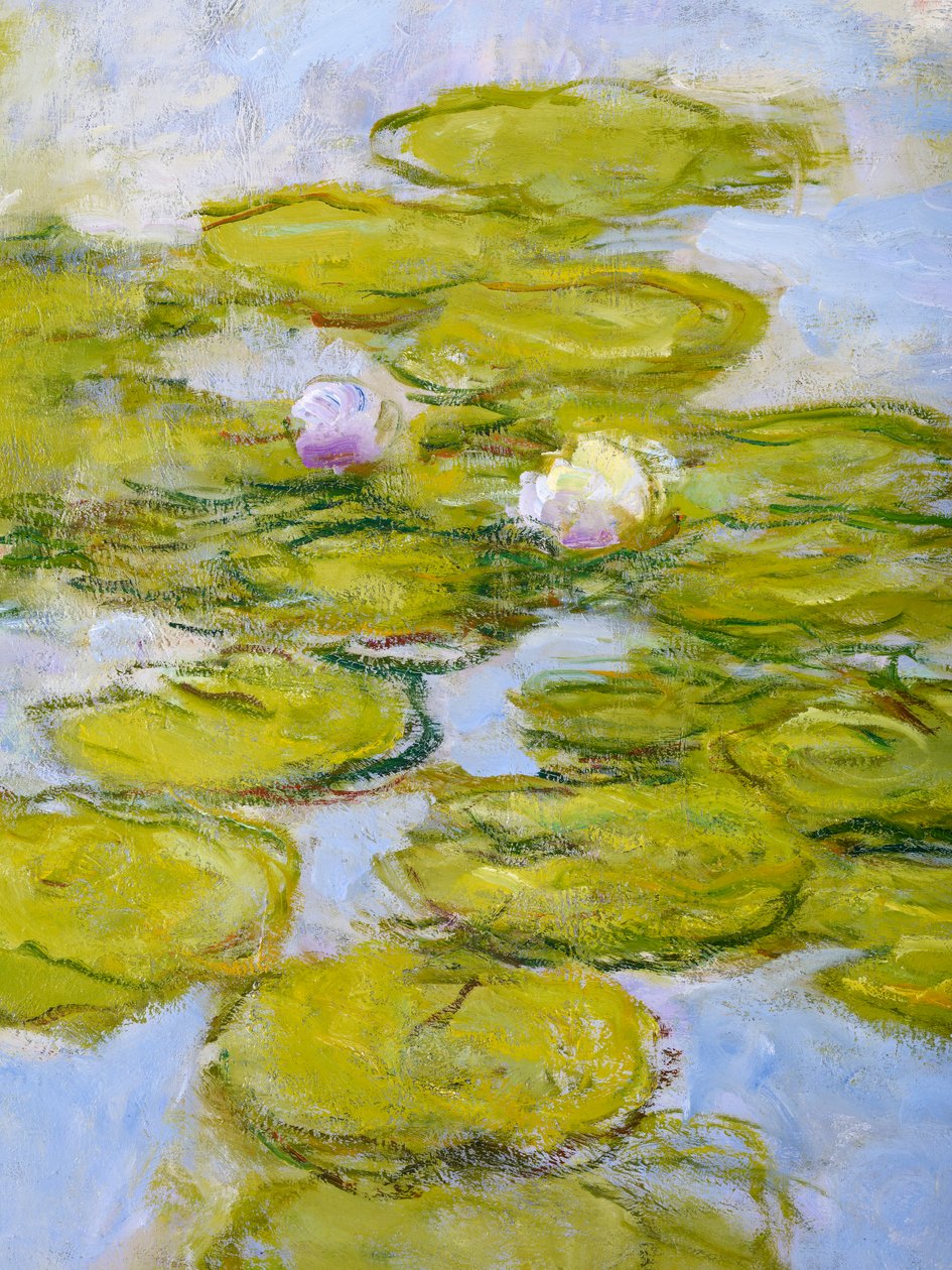 Ninfee, 1916-19 (dettaglio) da Claude Monet