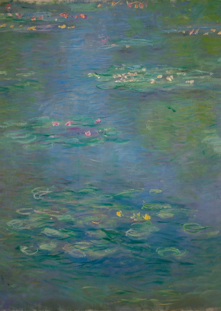 Ninfee (dettaglio) da Claude Monet