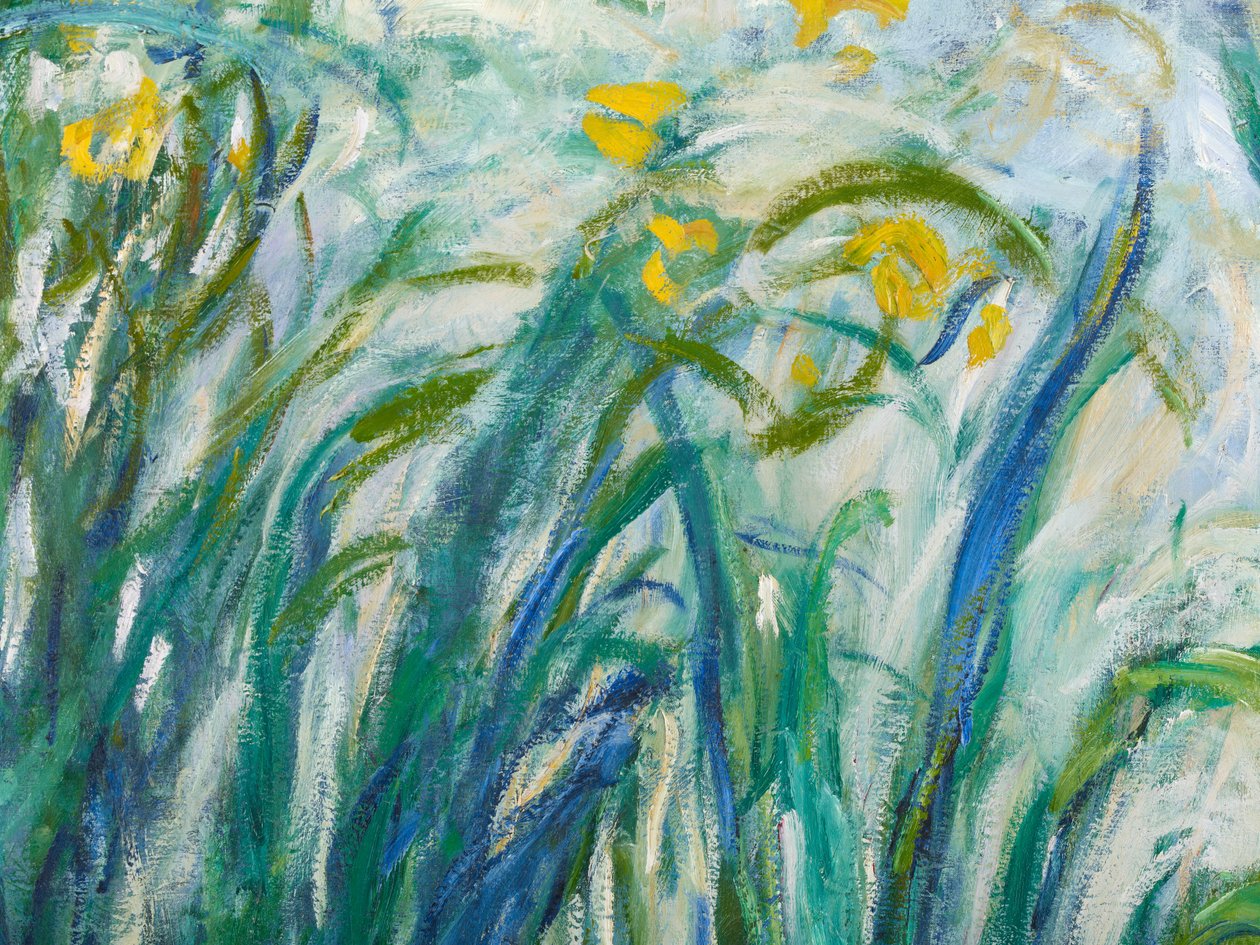 Iris Gialli e Viola, 1924-25 (dettaglio) da Claude Monet