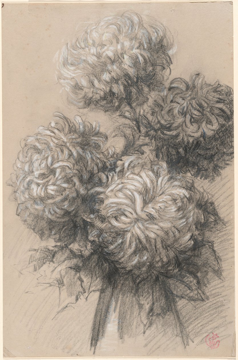 Crisantemi da Claude Emile Schuffenecker