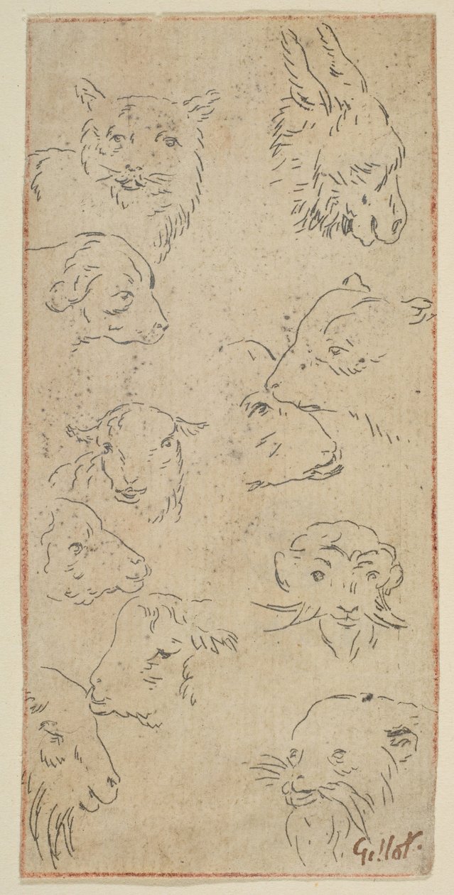 Studio di teste di animali, n.d. da Claude Gillot