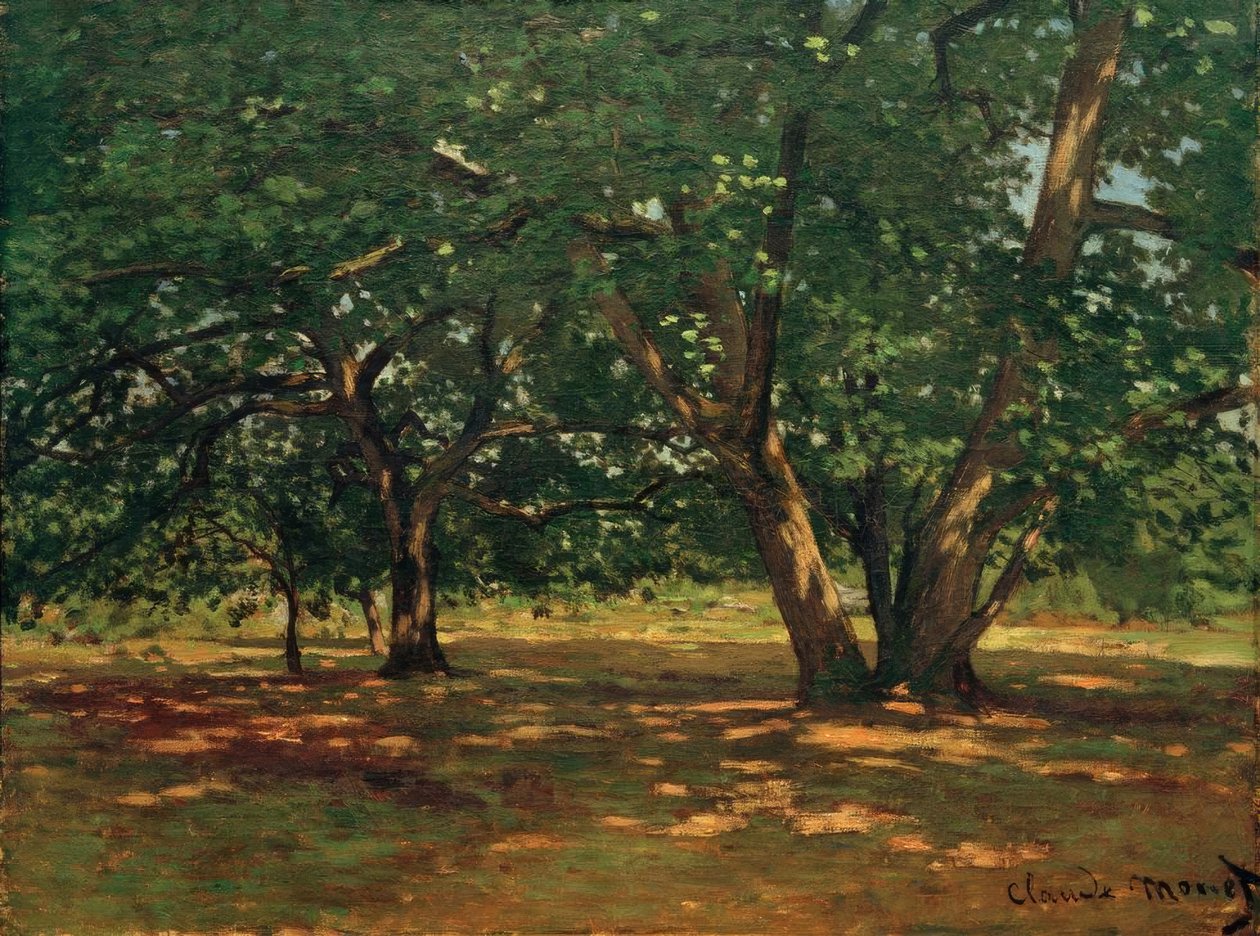 Foresta di Fontainebleau da Claude Monet