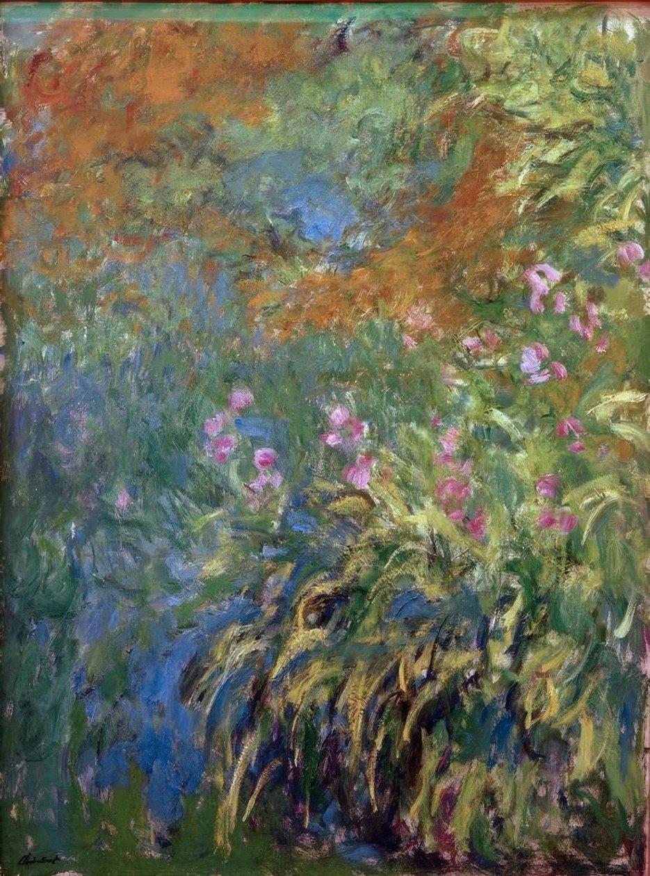 Iris da Claude Monet