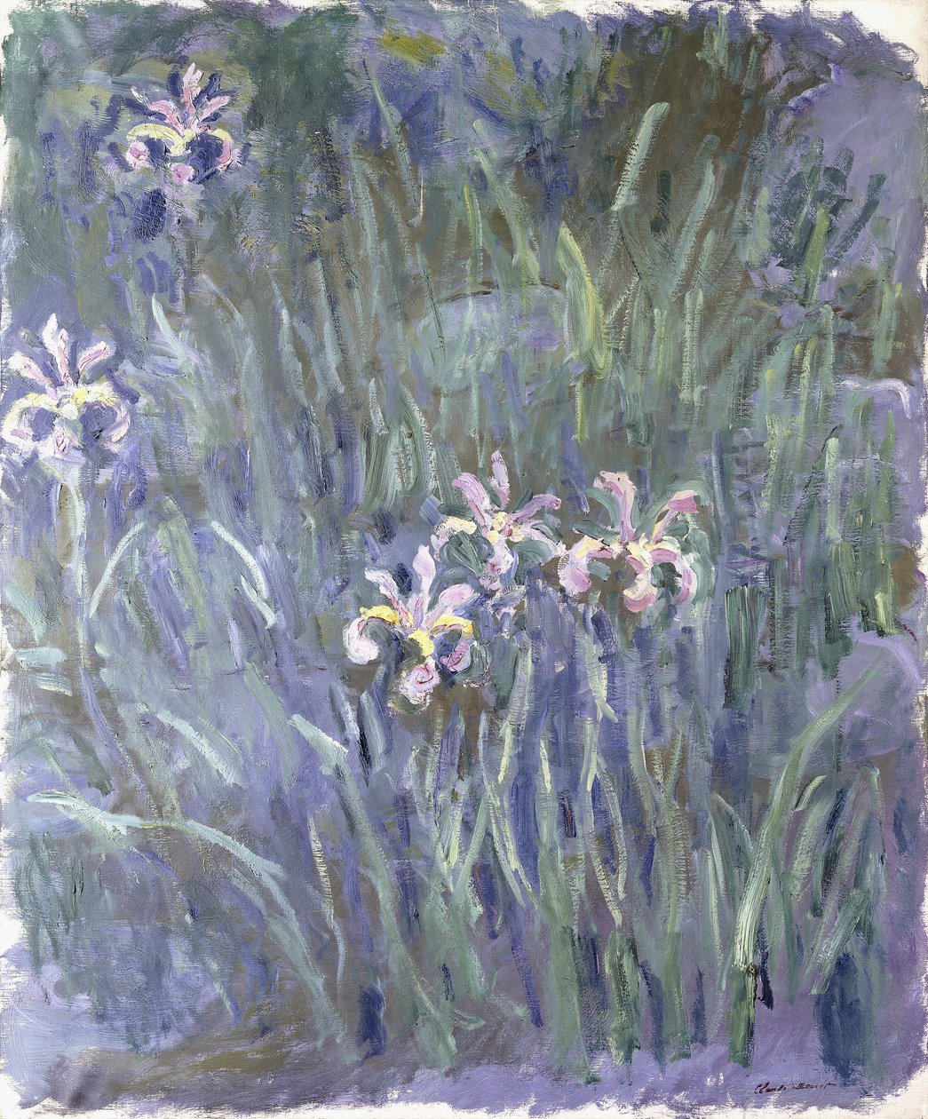Iris da Claude Monet