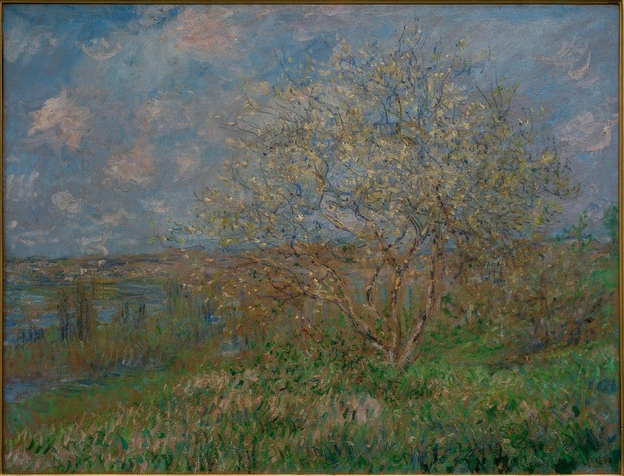 La Primavera da Claude Monet